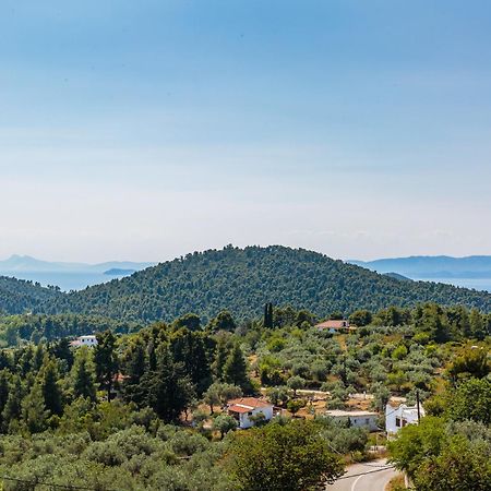 Villa Althea Panormos  Esterno foto