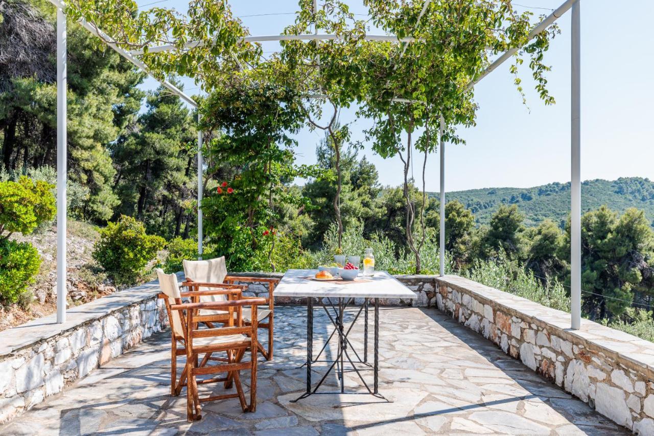 Villa Althea Panormos  Esterno foto