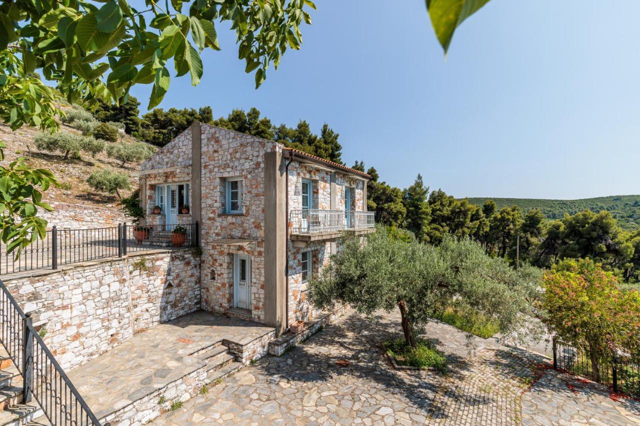 Villa Althea Panormos  Esterno foto